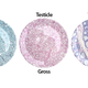 Image for article titled Your Holiday Dinner Guests Will Love Dining Off These Testicle Plates